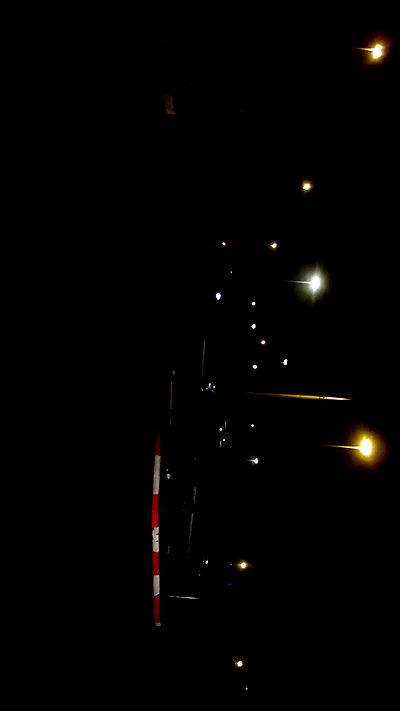 simp_for_cats_ simp_for_cats_ archive video