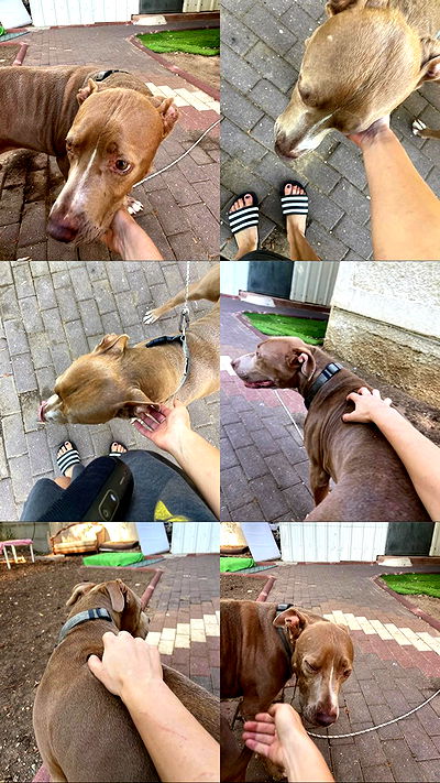 feelbetterinmysweater feelbetterinmysweater archive video