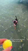 jenny.kaly Altpins Profile Picture