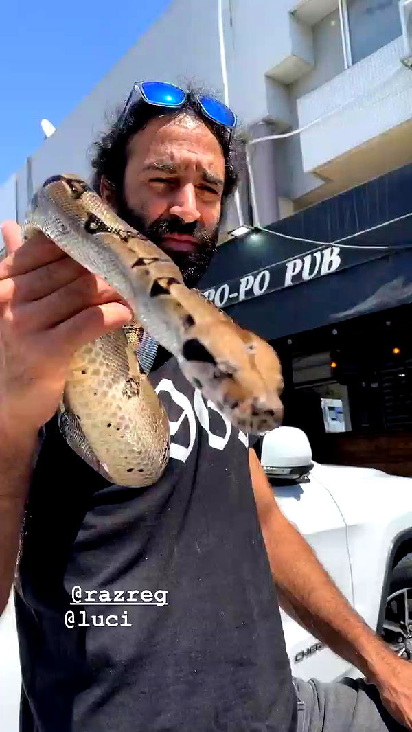 napopo_pub archive video preview