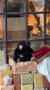 katie_westwood Altpins Profile Picture