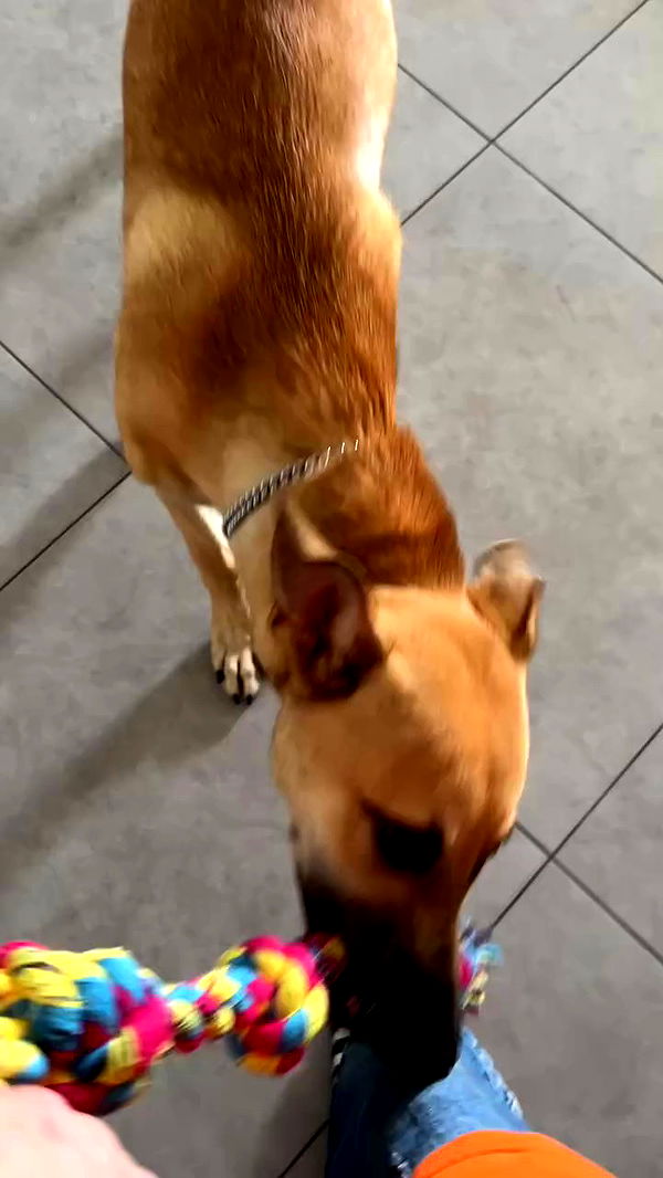 feelbetterinmysweater archive video preview