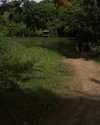 mulan.vx Altpins Profile Picture