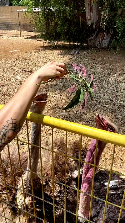 feelbetterinmysweater feelbetterinmysweater archive video