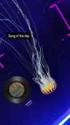 zz.eazoning Altpins Profile Picture