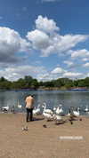 sandrineburgess Altpins Profile Picture