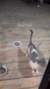 karin_orhov Altpins Profile Picture