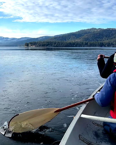 sydney_sweeney sydney_sweeney archive video