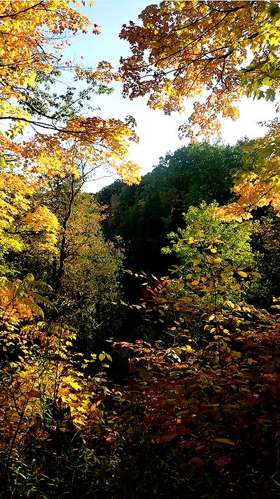 ilikesleepin_g ilikesleepin_g archive video