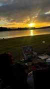 estr3iia Altpins Profile Picture