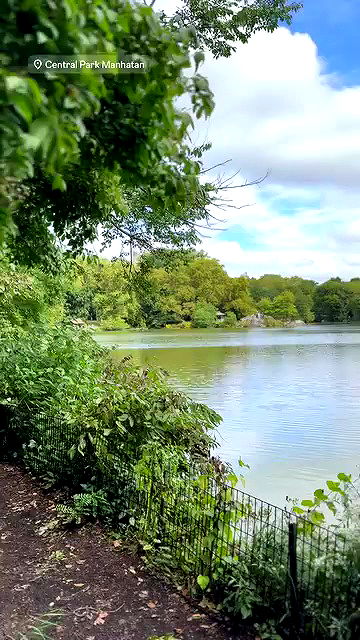 biton__adi biton__adi archive video