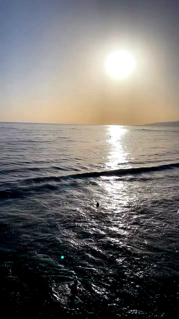 sydney_melman archive video preview