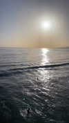 sydney_melman Altpins Profile Picture