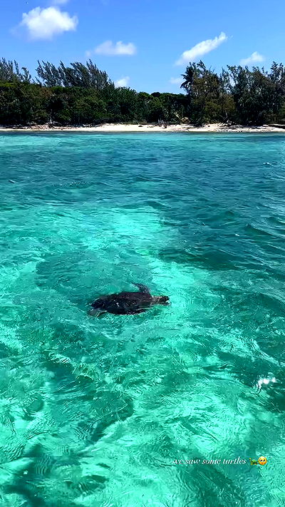 payton.r payton.r archive video