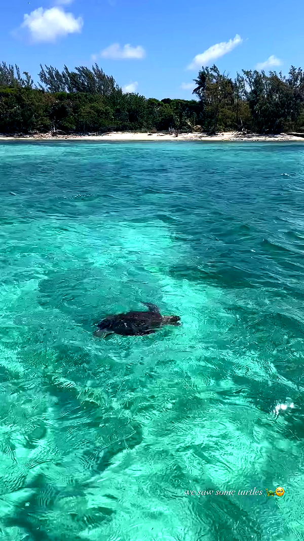 payton.r archive video preview