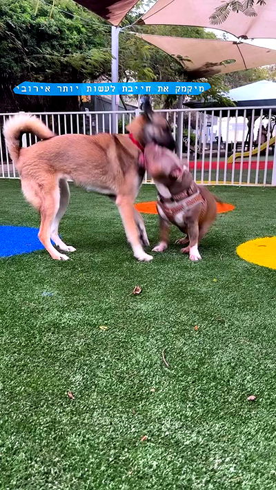 kesemgreenyer kesemgreenyer archive video