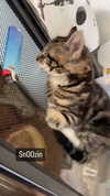 heathergrace67 Altpins Profile Picture