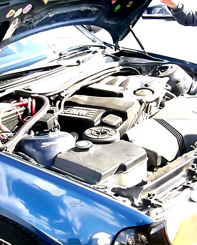 simp_for_cats_ simp_for_cats_ archive video