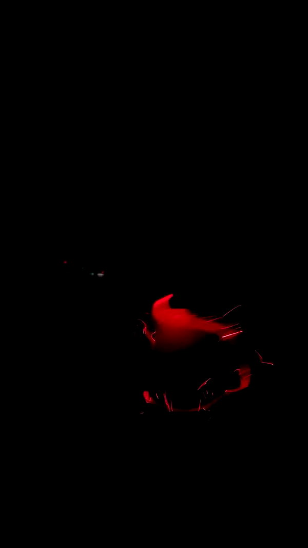 murl1kalka archive video preview