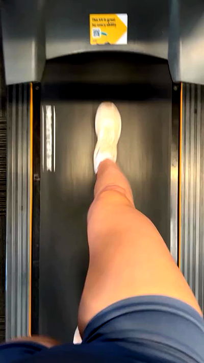 bakedsloths bakedsloths archive video