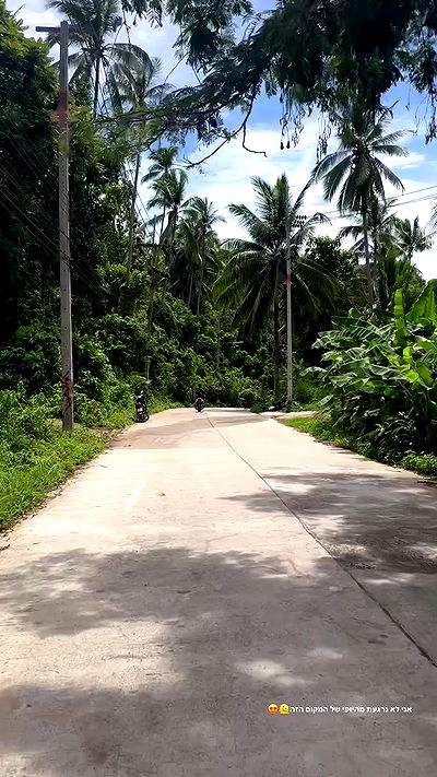 talweisswasser talweisswasser archive video