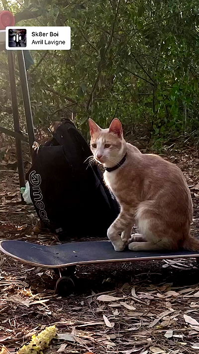 feelbetterinmysweater feelbetterinmysweater archive video