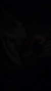 cyberbunniex Altpins Profile Picture