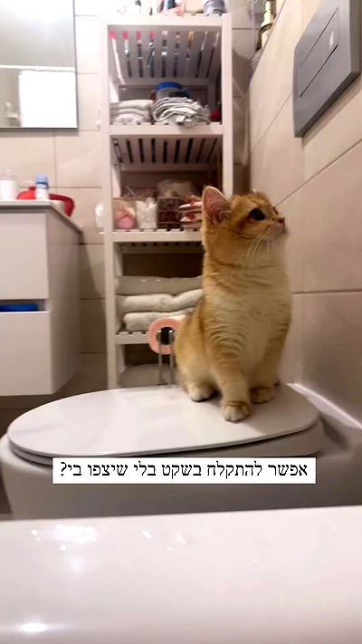 itsilanosh itsilanosh archive video