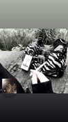 dollparts444 Altpins Profile Picture