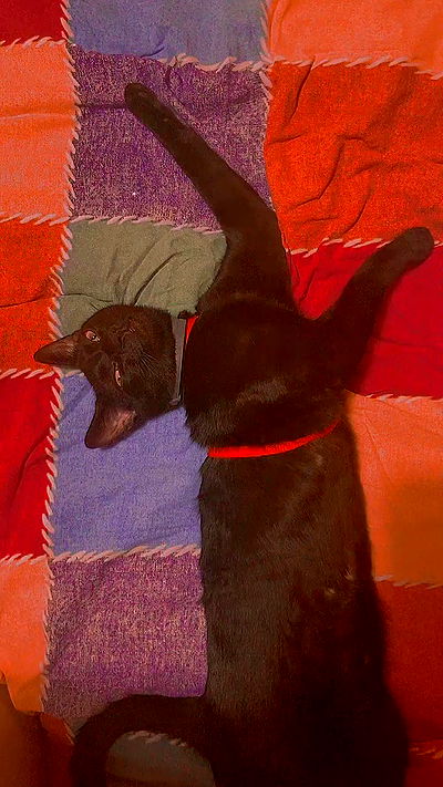 feelbetterinmysweater feelbetterinmysweater archive video