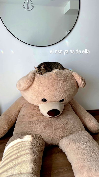 shunli__mei shunli__mei archive video