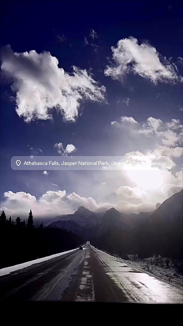 _dfoxx archive video preview