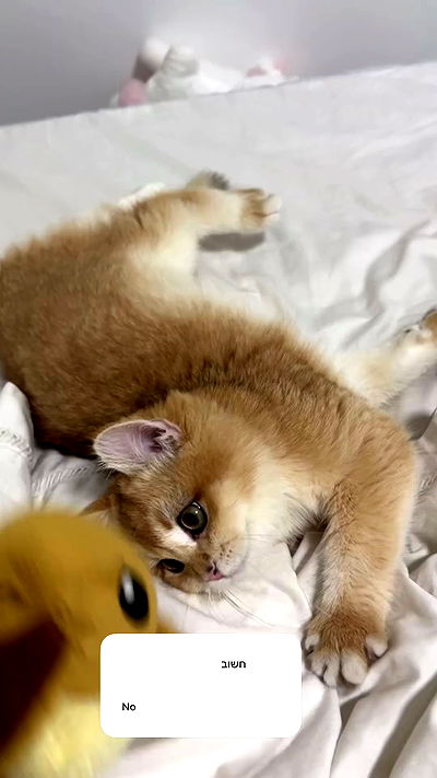 itsilanosh itsilanosh archive video