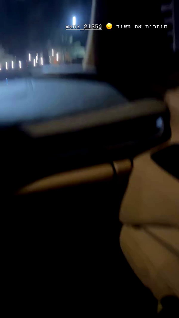 simp_for_cats_ archive video preview
