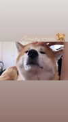aryssa614 Altpins Profile Picture