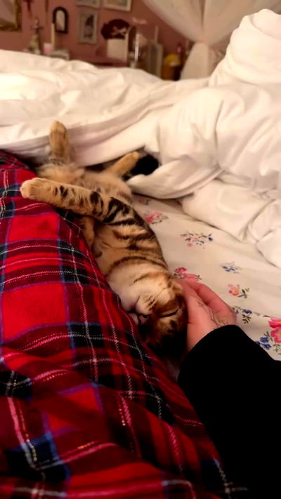 laurinchhhe laurinchhhe archive video