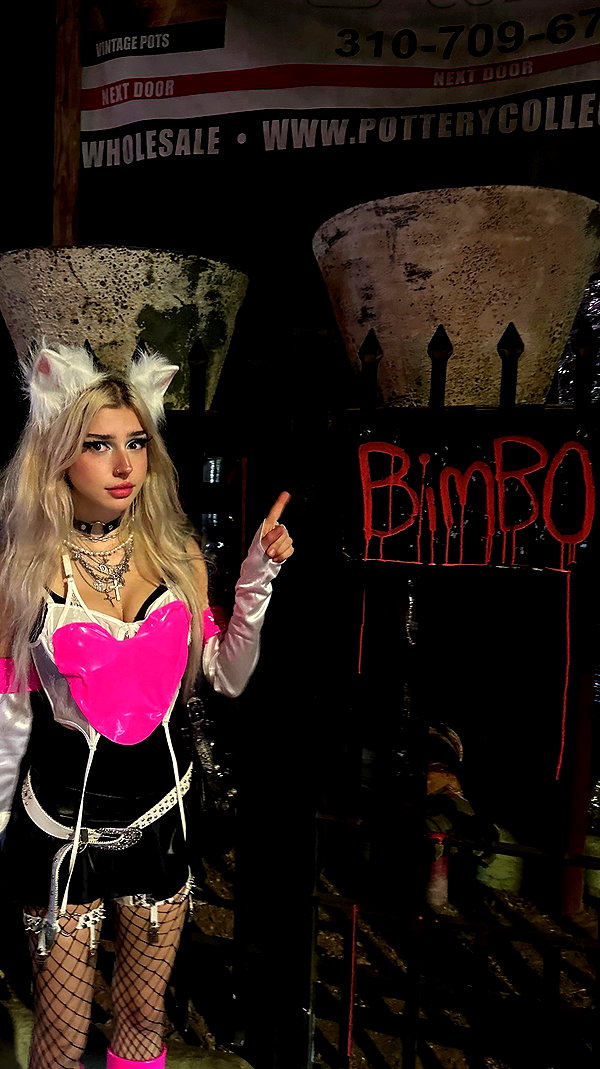 yaminaamane archive video preview