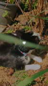 eusandyyh Altpins Profile Picture