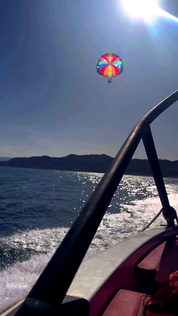 orya.xx archive video preview