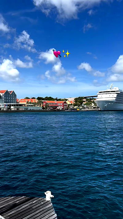 shunli__mei shunli__mei archive video