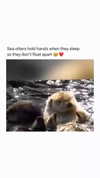 courtney2love Altpins Profile Picture