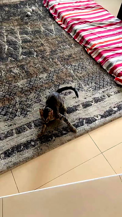 feelbetterinmysweater feelbetterinmysweater archive video