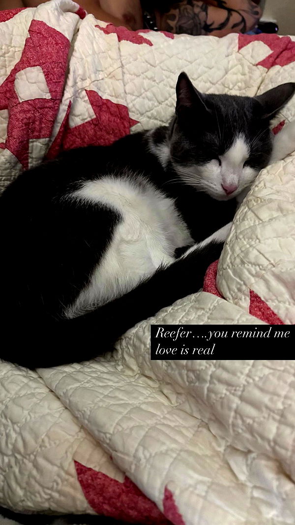 tatum.ricee archive video preview