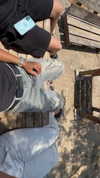 or_hasid Altpins Profile Picture