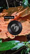 zz.eazoning Altpins Profile Picture