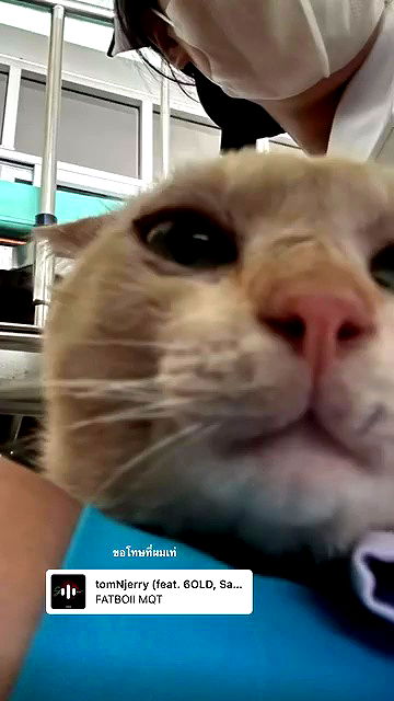 oqr0_ oqr0_ archive video