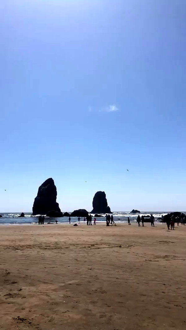 blairvira archive video preview