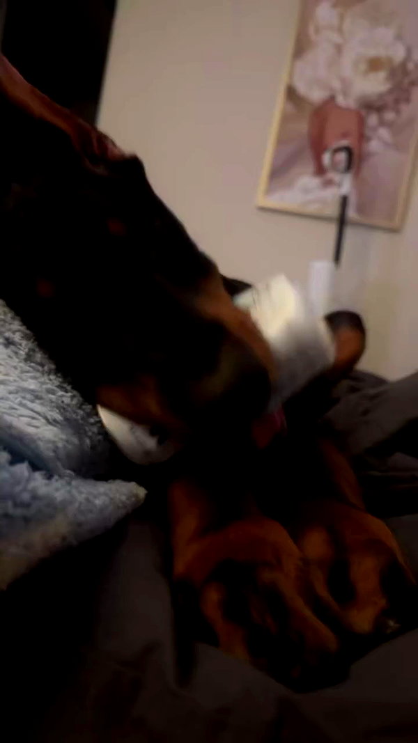 miss_baby007 archive video preview