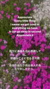 3liyen_ Altpins Profile Picture