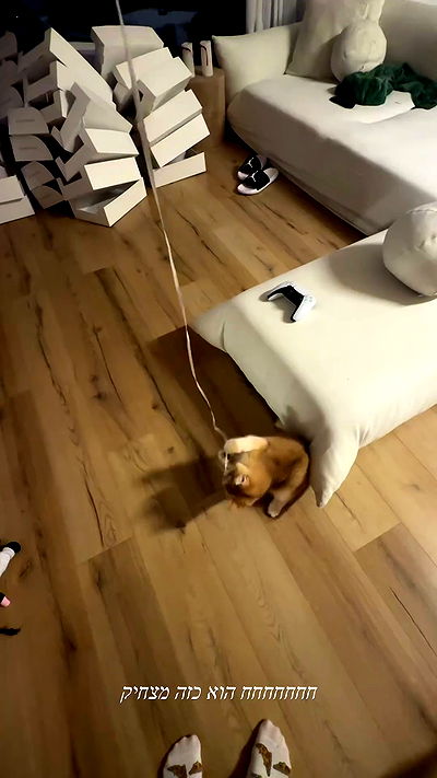 itsilanosh itsilanosh archive video